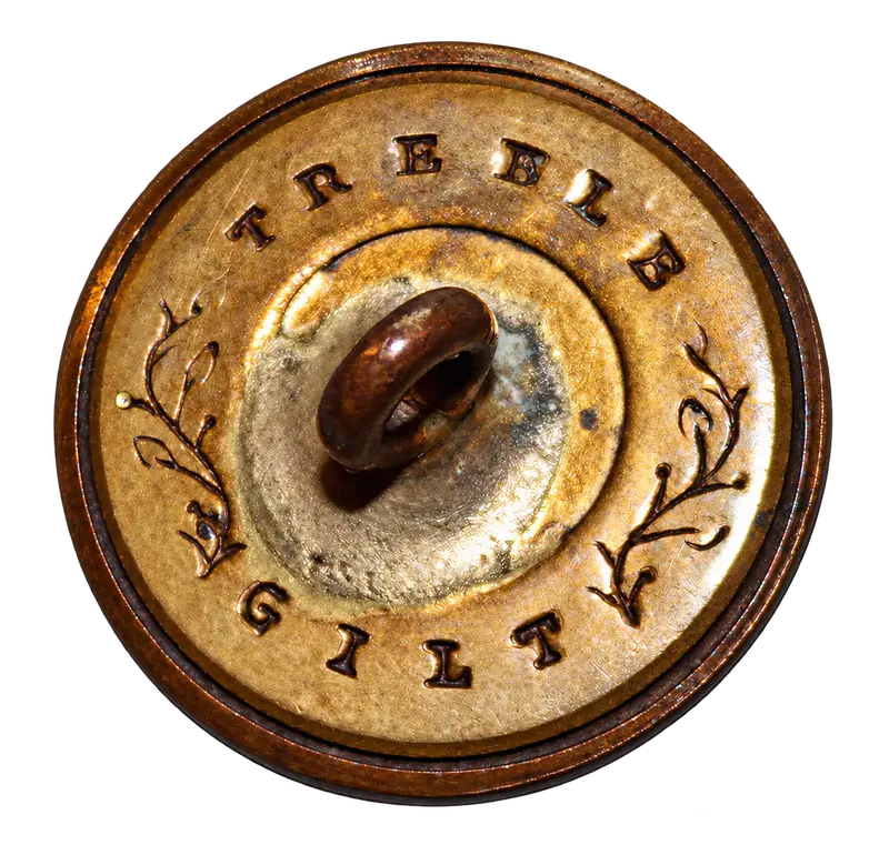 AI Enhanced - Header Background - TREBLE / GILT (sprig) - Back